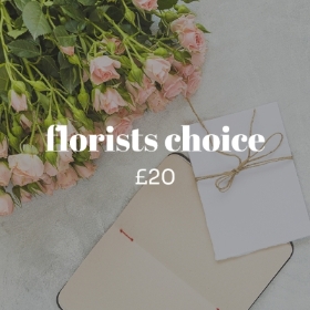 Florist Choice Flowers £20