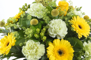 Seasonal Flowers